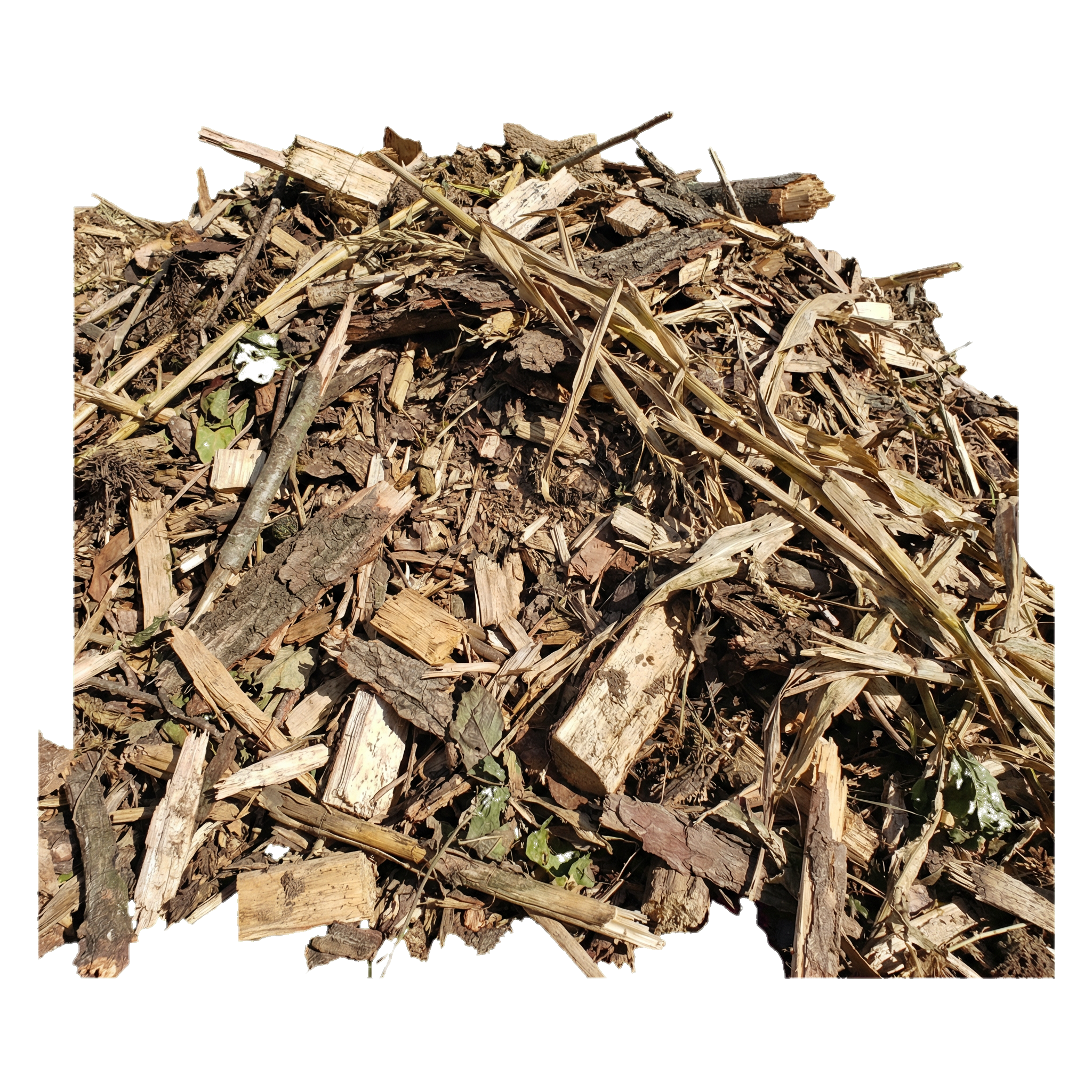 Biomass waste pile